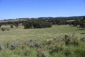 VCAT overturns council, Sikh Temple approved