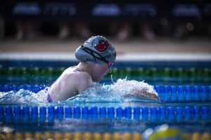 2024 in Review: Piranhas prove dangerous in Darwin