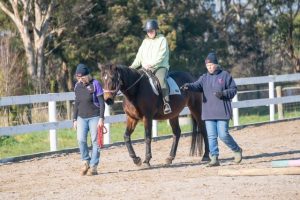 Council support two-decade lease for RDA