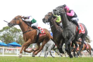 Goodwin’s doubled for Reece