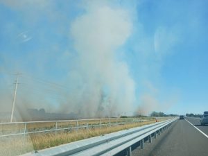 Grassfire under control