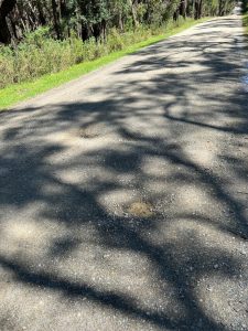 Urgent Repairs Needed for Kitchen Road