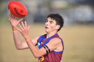 Lions keen for Div 1 jungle