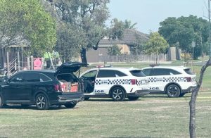 Park stabbing creates fear