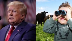 Local farmers shrug off Trump beef