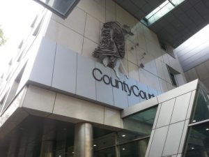 Jailed after wild cop chase