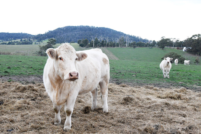 Access and adequacy questioned on drought relief