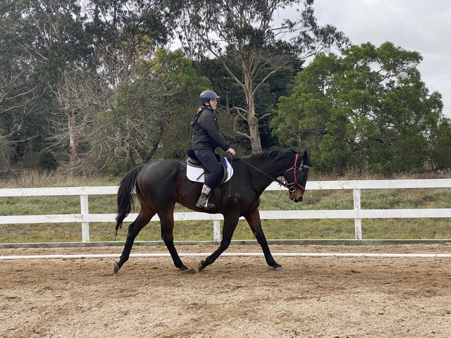 Funding fight for RDA