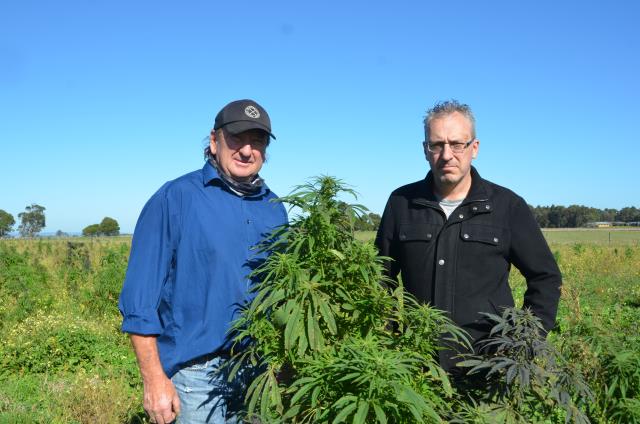 Vervale hemp business wins VCAT approval