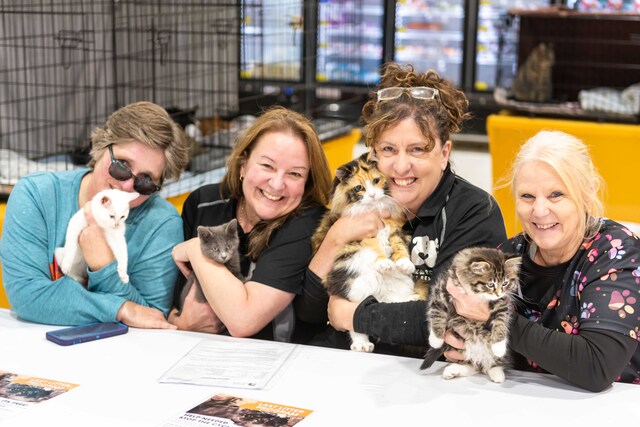 Furry Friends Day