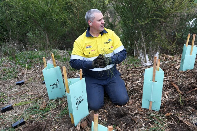 AusNet green thumbs