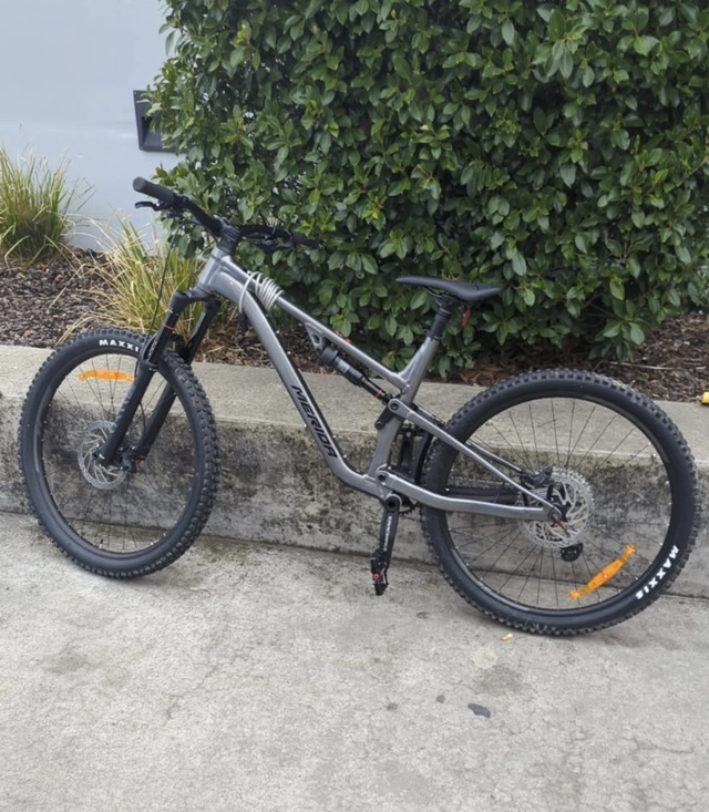 Thieves crush teen’s dream