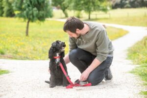 Door knocking campaign launches soon to help residents register their pets