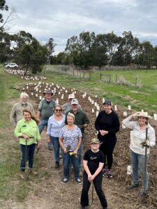 Bunyip plants 500 natives