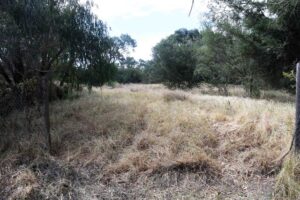 Cranbourne farming land rezoning for housing open for comment