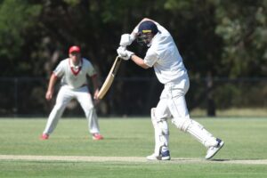 Bears out of the woods