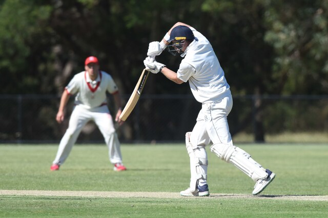 Bears out of the woods