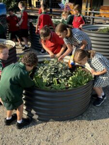 Nurturing Hearts and Minds