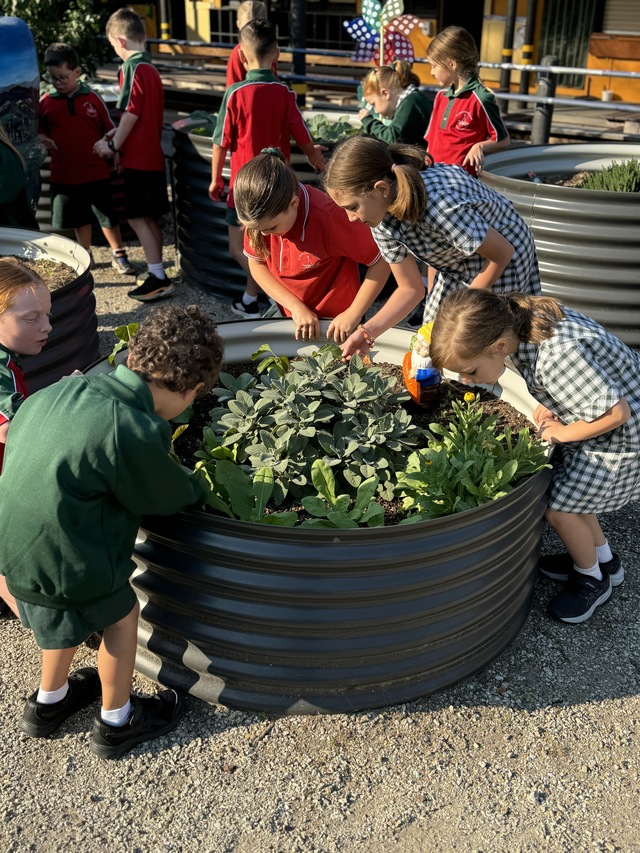 Nurturing Hearts and Minds