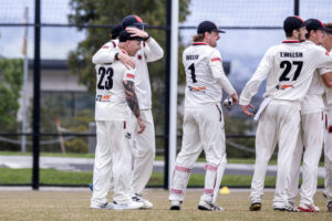 Bulls charge past Cougars