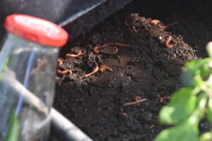 Expansion to organics facility