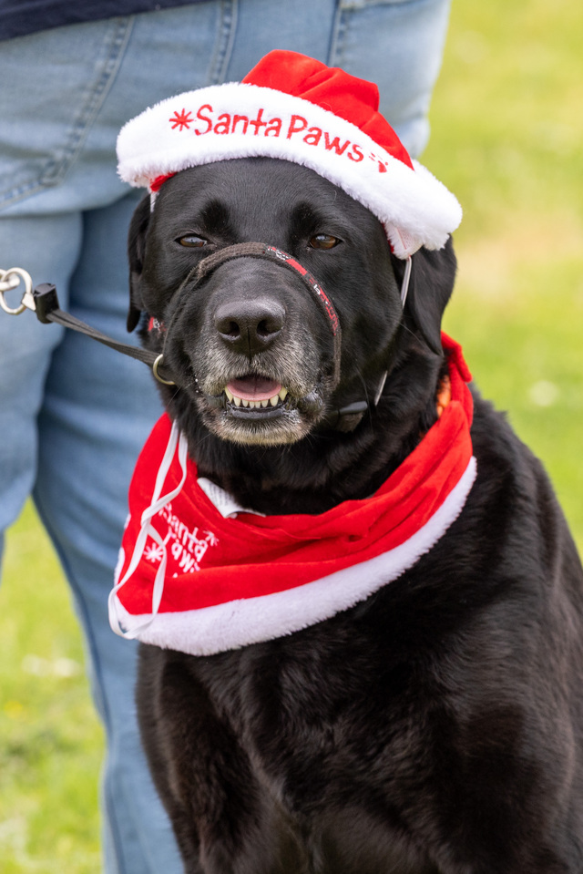 Santa makes special visit to Officer