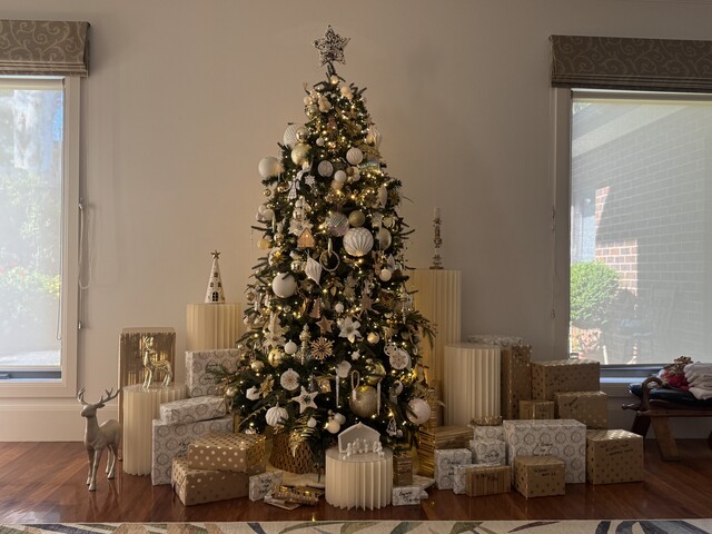 Christmas tree in all its holiday glory