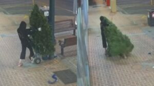 CCTV captures grinch stealing Main Street Christmas tree