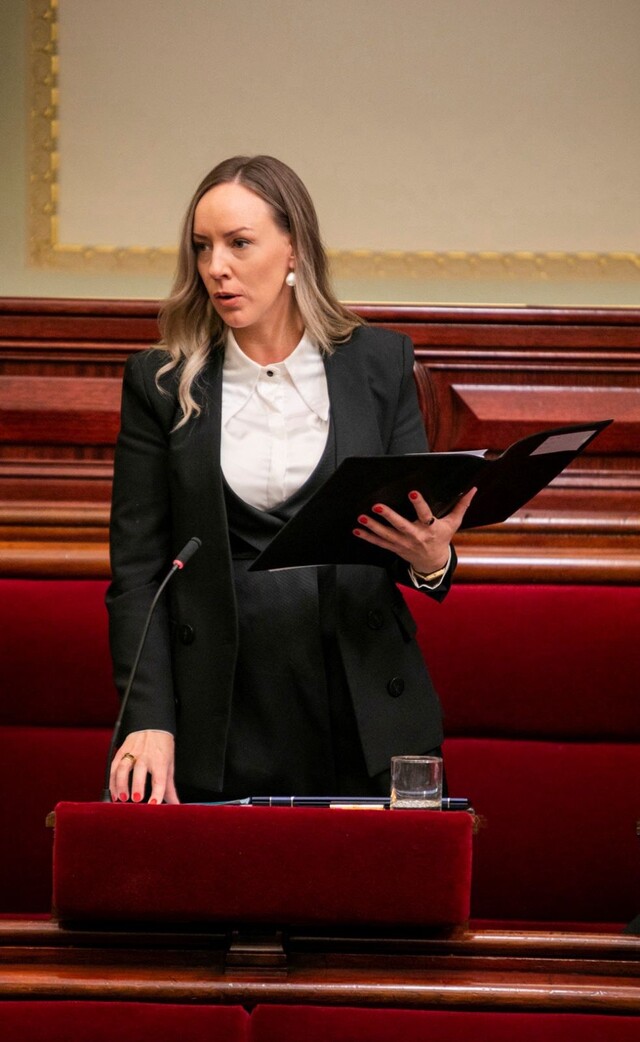 Subdivision pleas blocked by Government