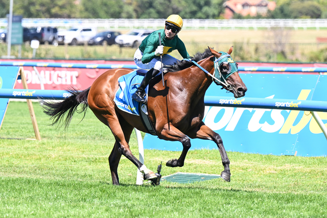 Moody thinks Sheza ripper