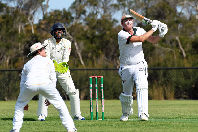 Seagulls still the top dogs