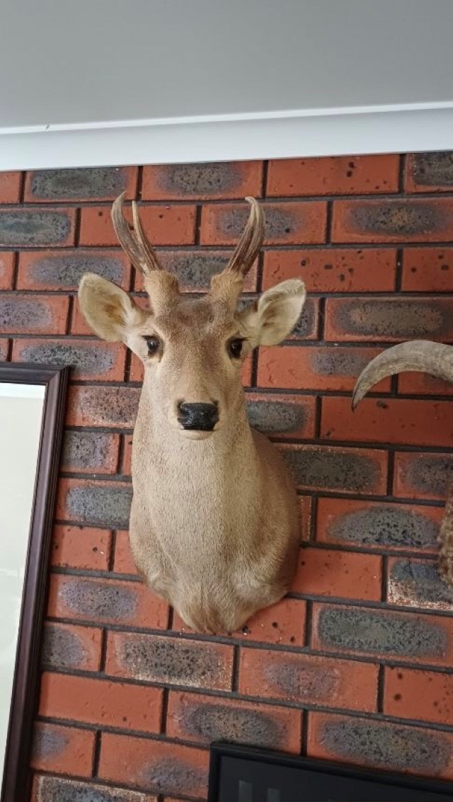 Thieves exploit road closures