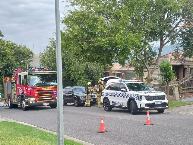 Family devastated by house fire, beloved pets in intensive care